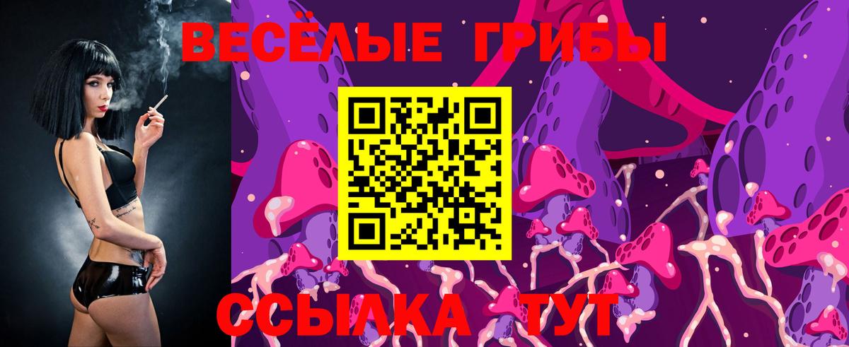 Добрянка  Псилоцибиновые грибы GOLDEN TEACHER  Вход с VPN 